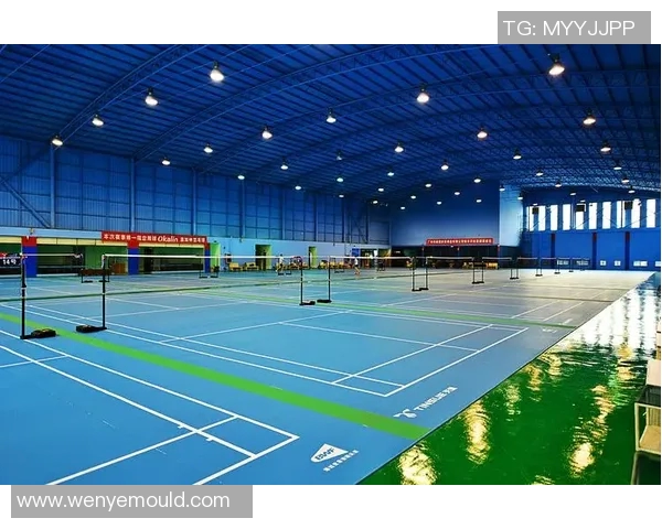 广州羽毛球队的成长历程与全国锦标赛的辉煌成就全景回顾