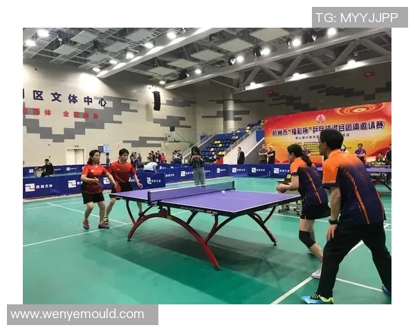 杭州乒乓球队在新老交替中的挑战与机遇分析 杭州乒乓球队在新老交替中的挑战与机遇分析