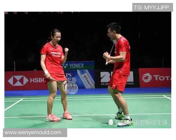 成都与深圳羽毛球队对决赛后分析力量对比与战术探讨