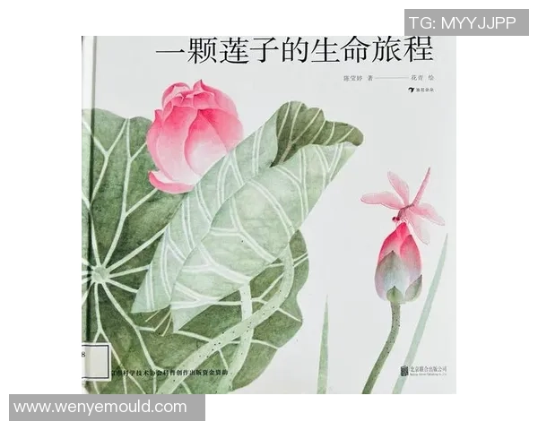 深度对话：陈军讲述他的足球旅程与人生哲学