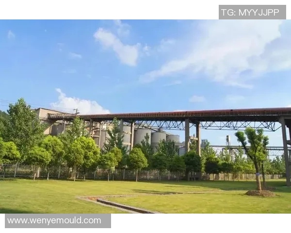 南京排球队精英赛征程揭秘：从挑战到辉煌的突破之路