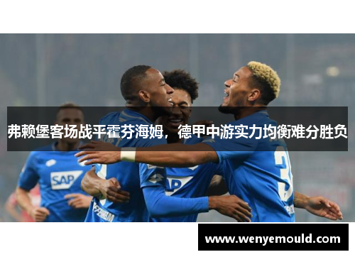 弗赖堡客场战平霍芬海姆，德甲中游实力均衡难分胜负