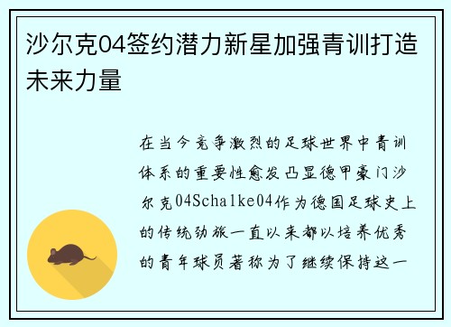 沙尔克04签约潜力新星加强青训打造未来力量