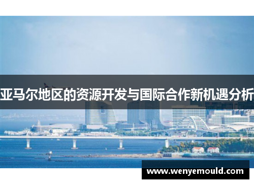 亚马尔地区的资源开发与国际合作新机遇分析